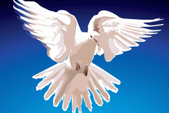 Dove